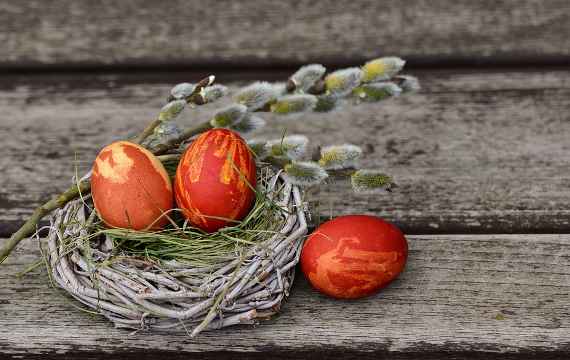 Ein geflochtenes Nest mit drei orange-roten Eiern auf Holzbrettern