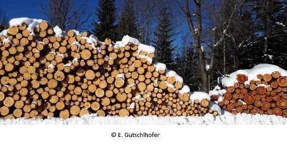 Holzlager mit Schnee