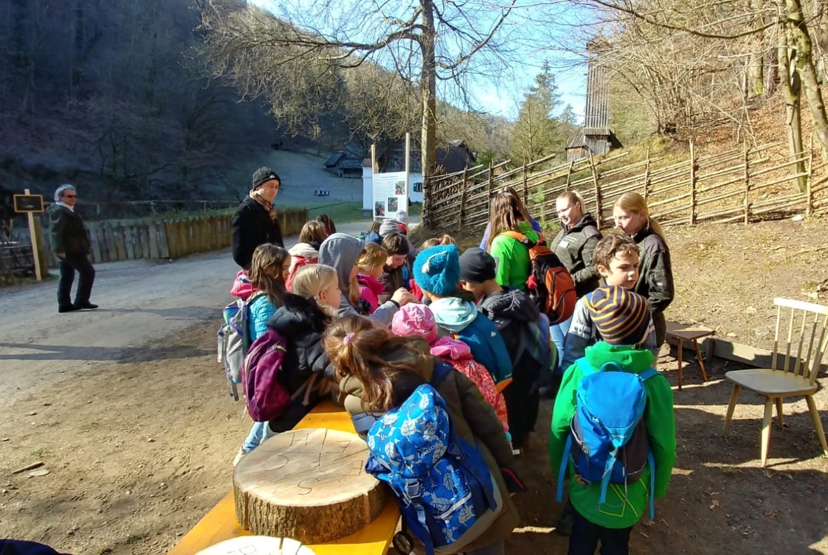 Eine Kindergruppe lernt das Holz begreifen