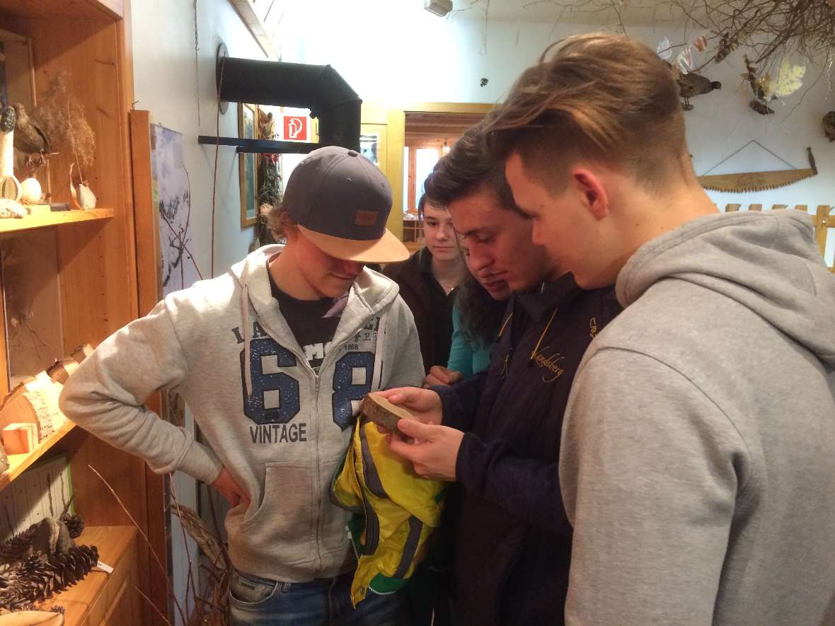 Schüler betrachten einen Holzquerschnitt in der Wiener Waldschule