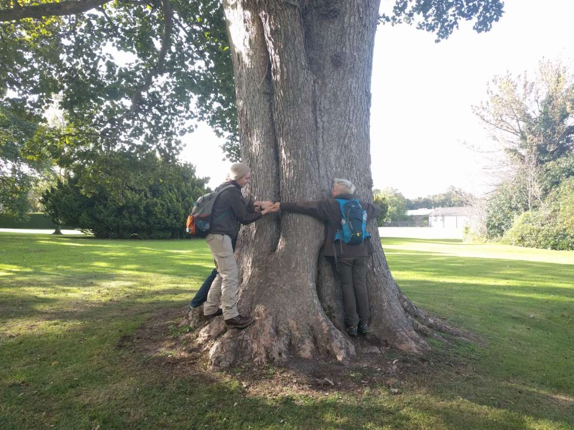 Wir umarmen einen Baum