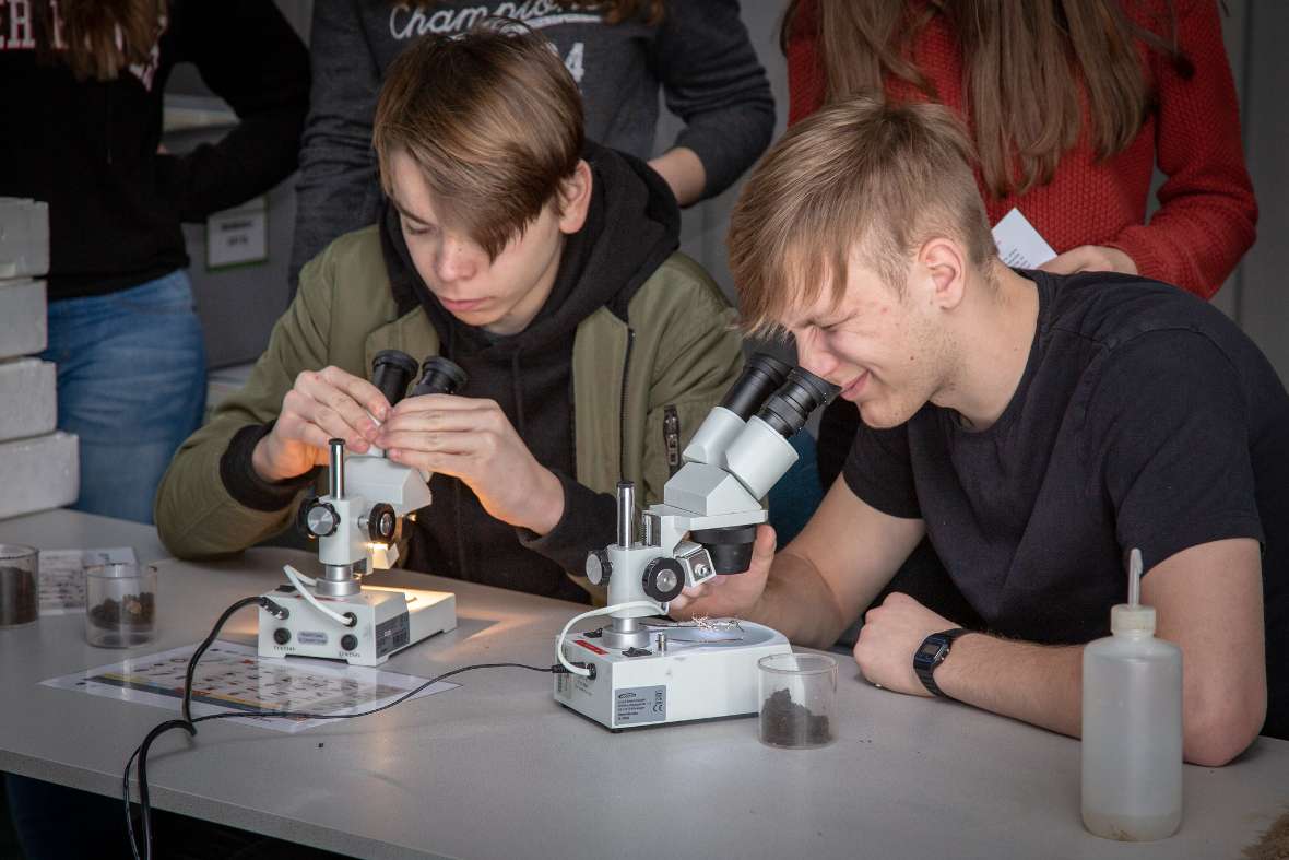 Zwei Schüler schauen durch je ein Mikroskop