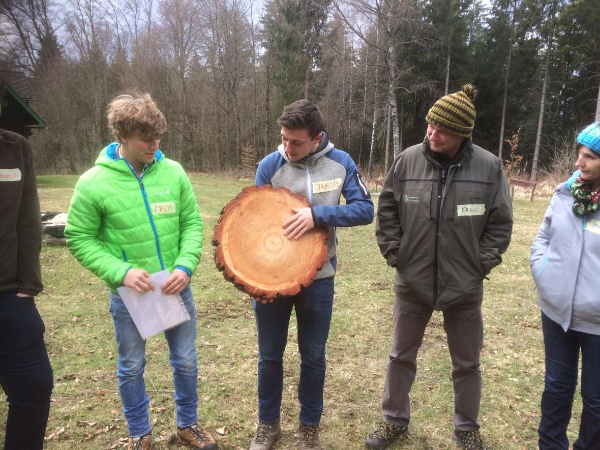 Die Vielfältigkeit des Werkstoffes Holz kann in der Waldpädagogik sehr anschaulich vermittelt werden