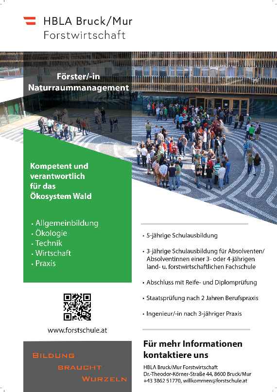 Plakat mit grundlegenden Informationen unserer Ausbildung