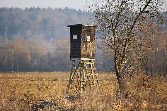 Ein hölzerner Hochsitz an einem Feldrand im Herbst