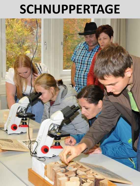 Schnuppertage Plakat mit Jugendlichen, Eltern und Mikroskopen 