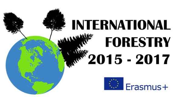 Das Erasmuslogo für International Forestry