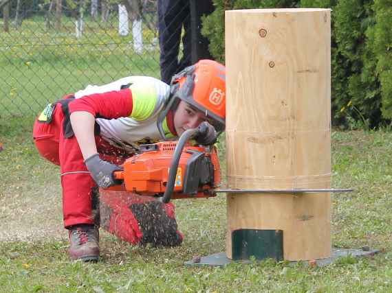 Schuelerin beim Fallkerb- und Faellschnitt