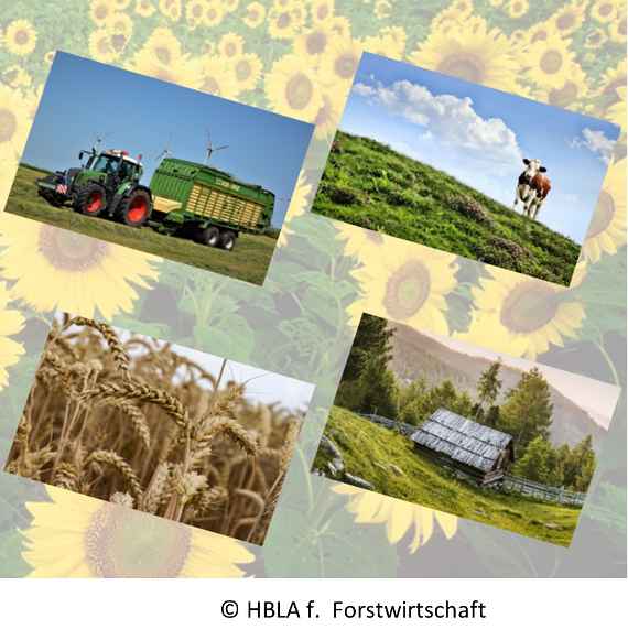Vier Bilder aus der Landwirtschaft