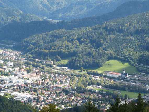 Blick auf den Klosterwald