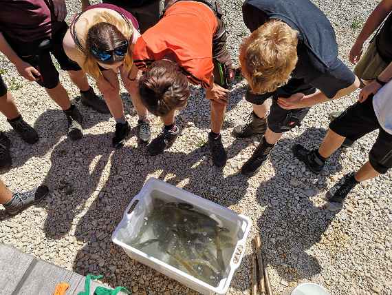 Fische aus den Teichen für die Ausbildung