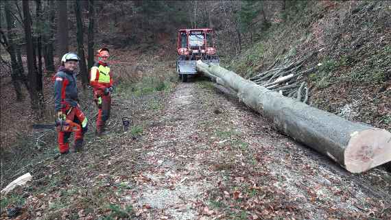 Zwei Schüler bei Rückearbeiten im Wald