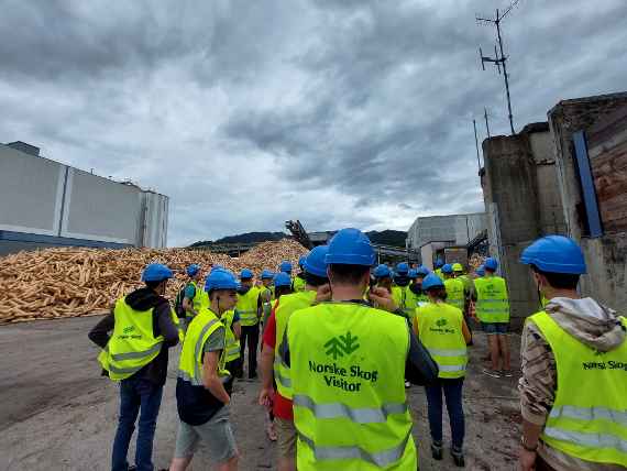 Besuch bei Norske Skog mit dem Rundholzlager im Freien