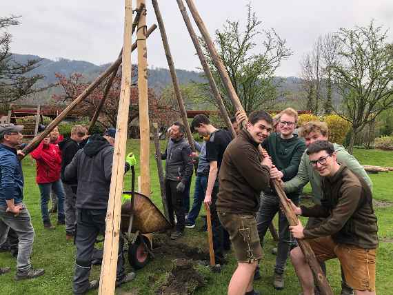 Unsere kräftigsten Waldpädagogen beim Aufstellen eines Maibaums