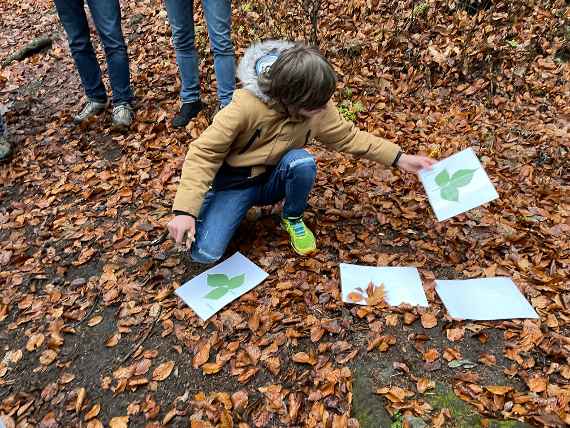 Mädchen auf Waldboden mit Blättern