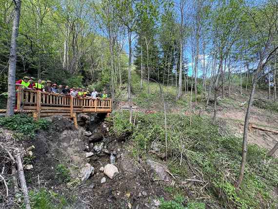 Schülergruppe auf einer Holzbrücke im Wald