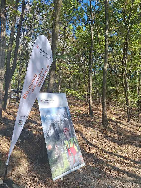 Esterhazy Waldtage 2026