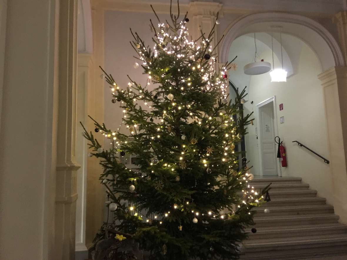 Unser Christbaum im Eingangsbereich