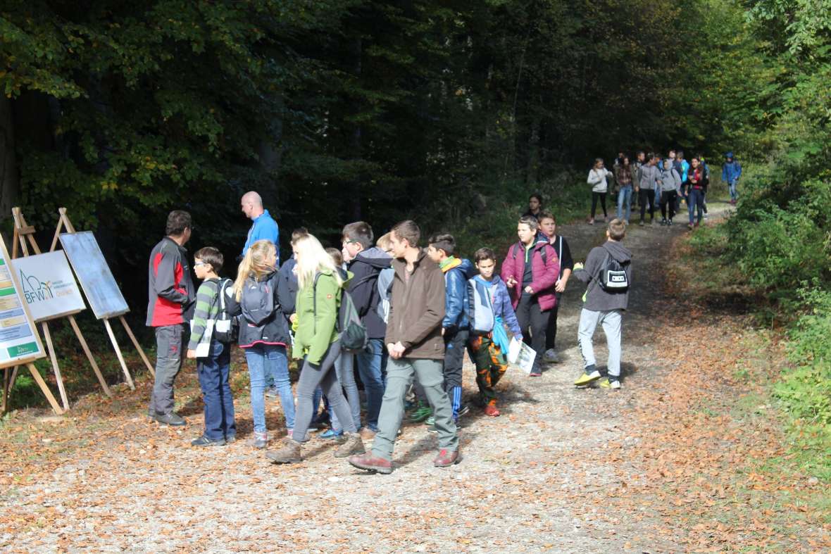 Schülerinnen und Schüler wandern.