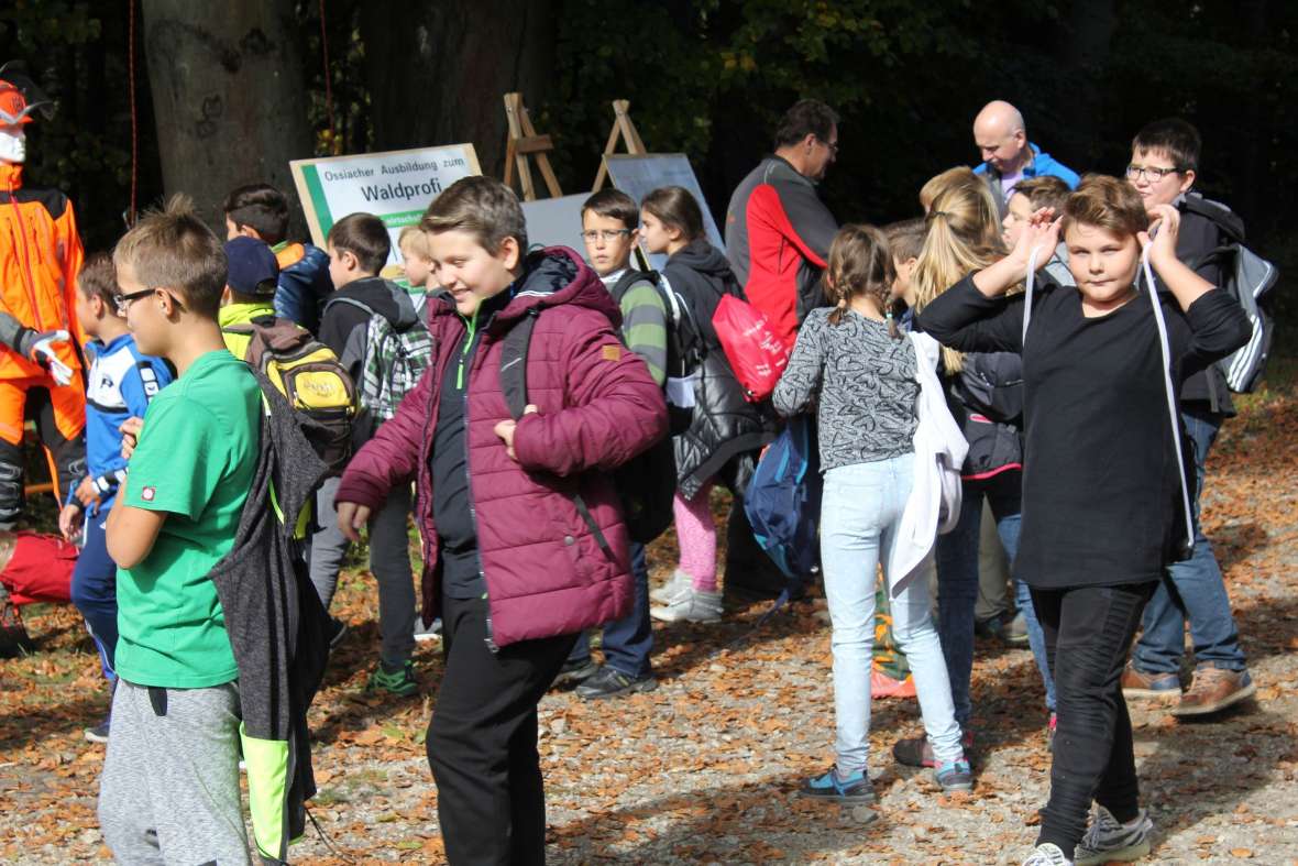 Schülerinnen und Schüler wandern