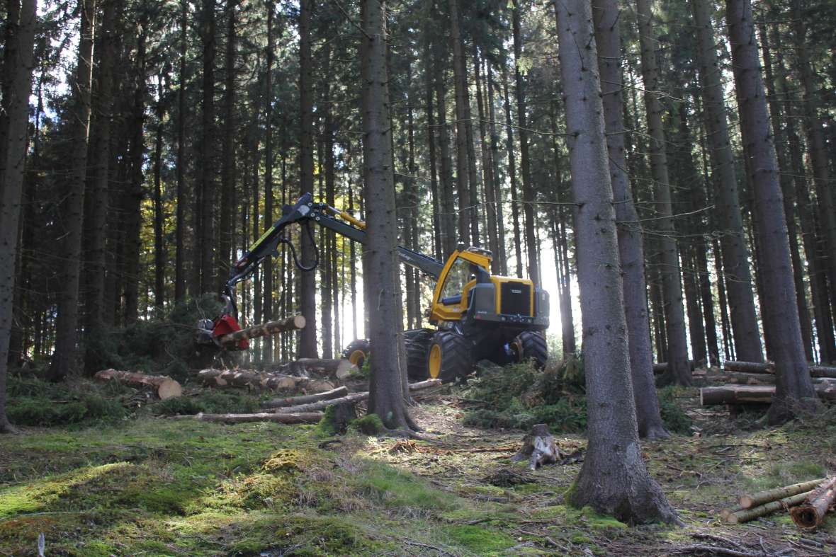 Harvester im Wald