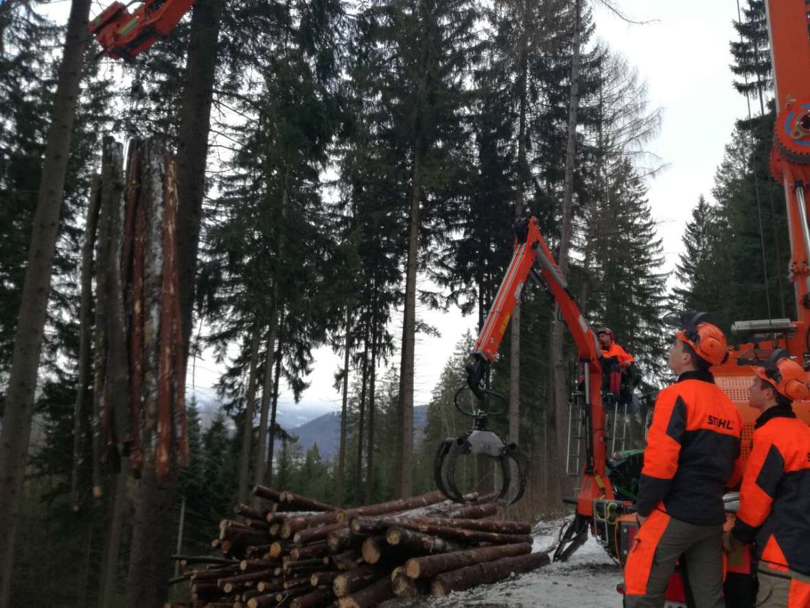 Die Holzernte hat sich gelohnt