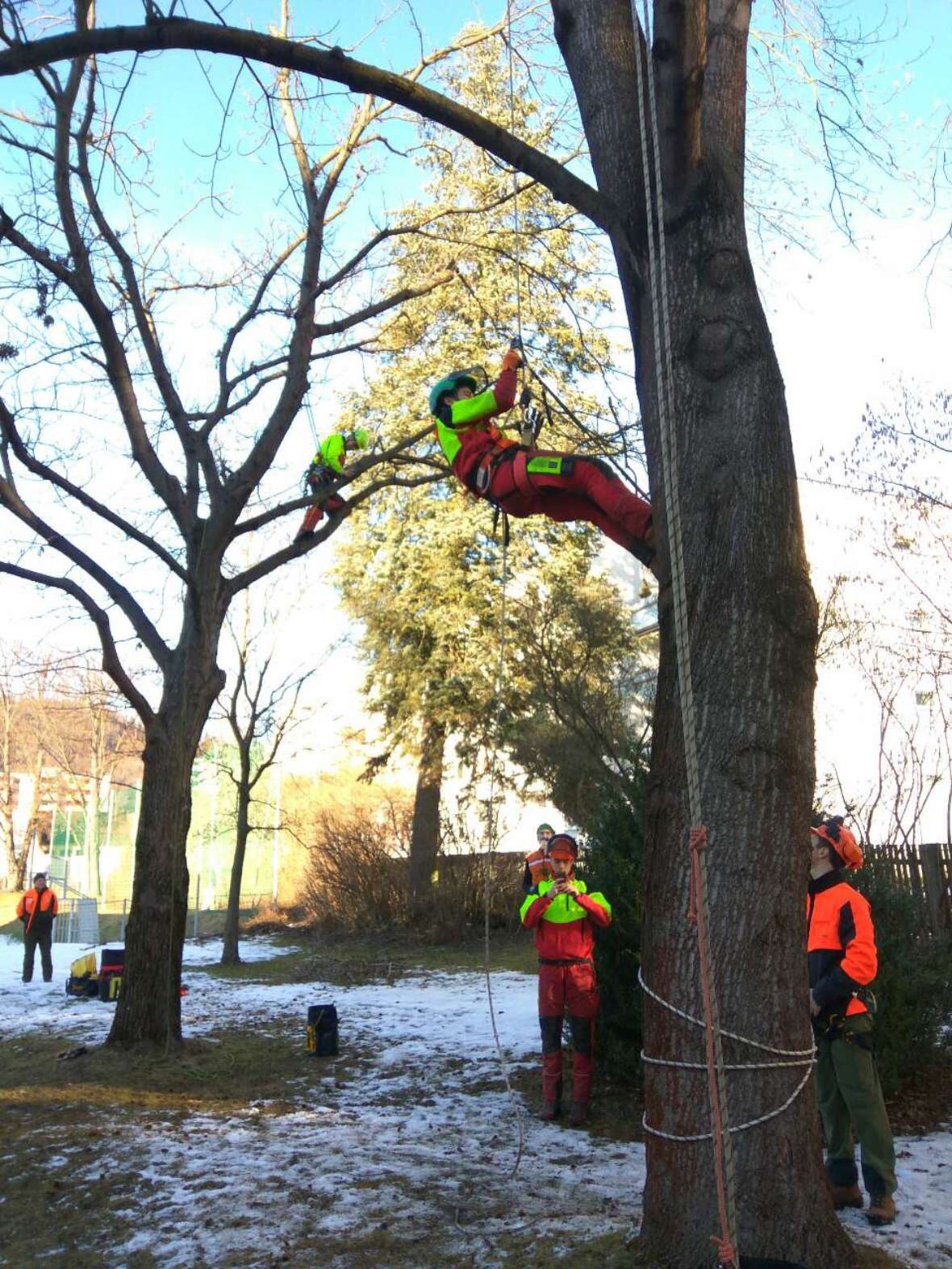 Bei der Seilkletterübung