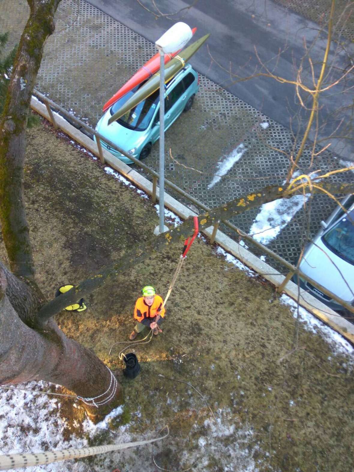 Blick vom Baum nach unten