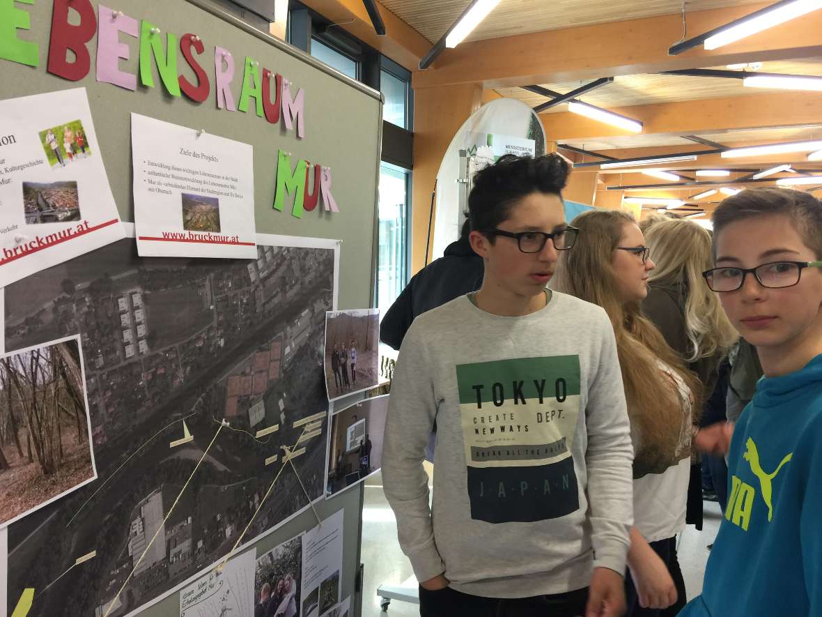 Schüler vor der Pinwand Lebensraum Mur