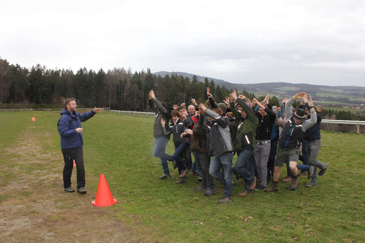 Ein stabiler wald hält Stürmen stand