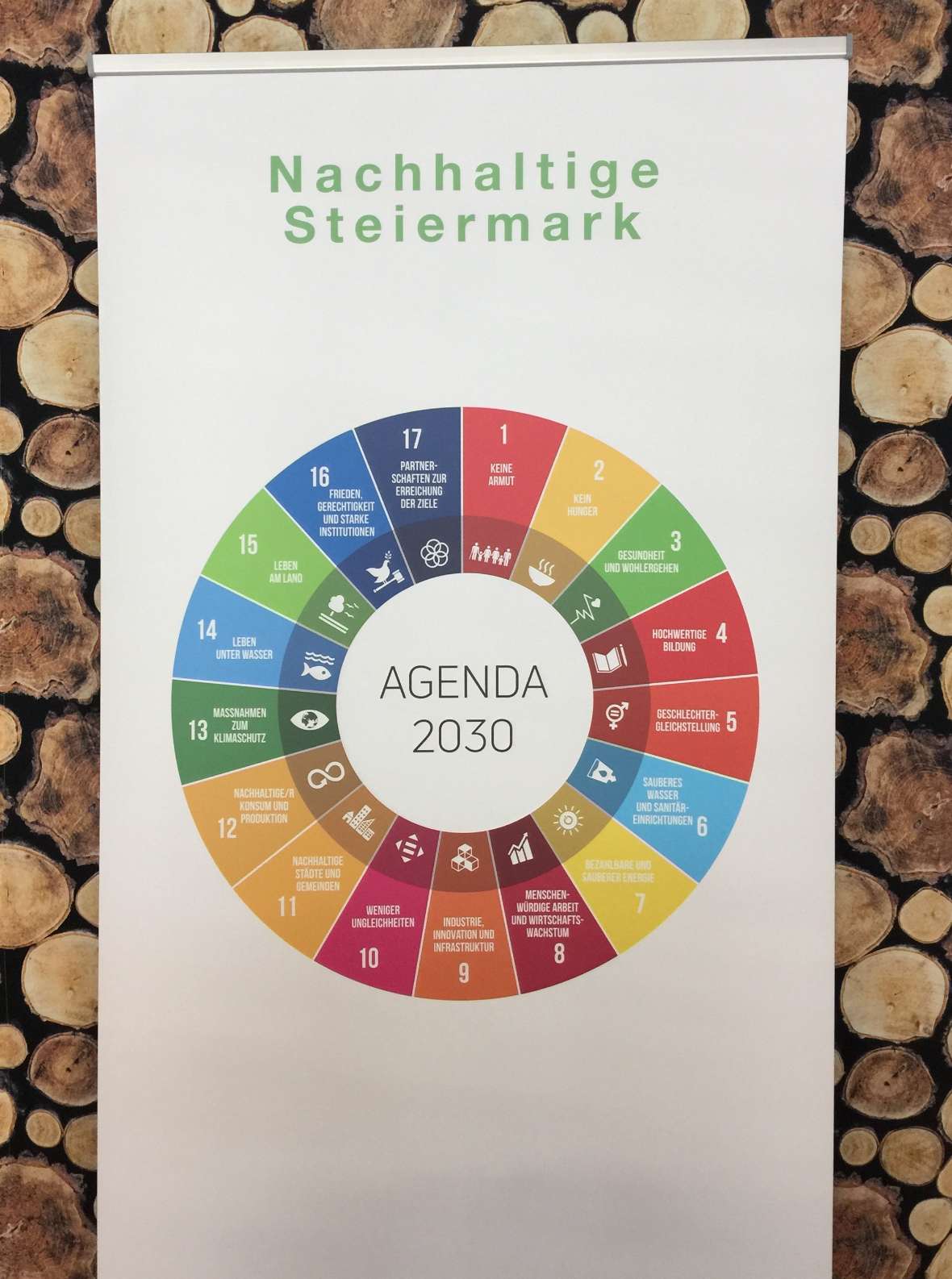Die siebzehn Ziele der Agenda 2030