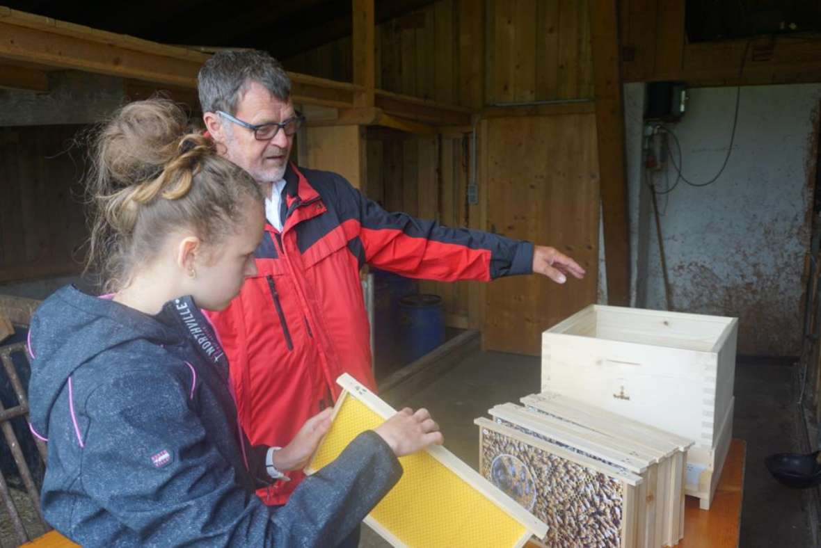 Begutachtung eines Bienenkastens