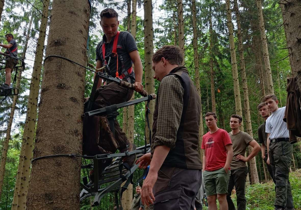 Schüler beim Klettern