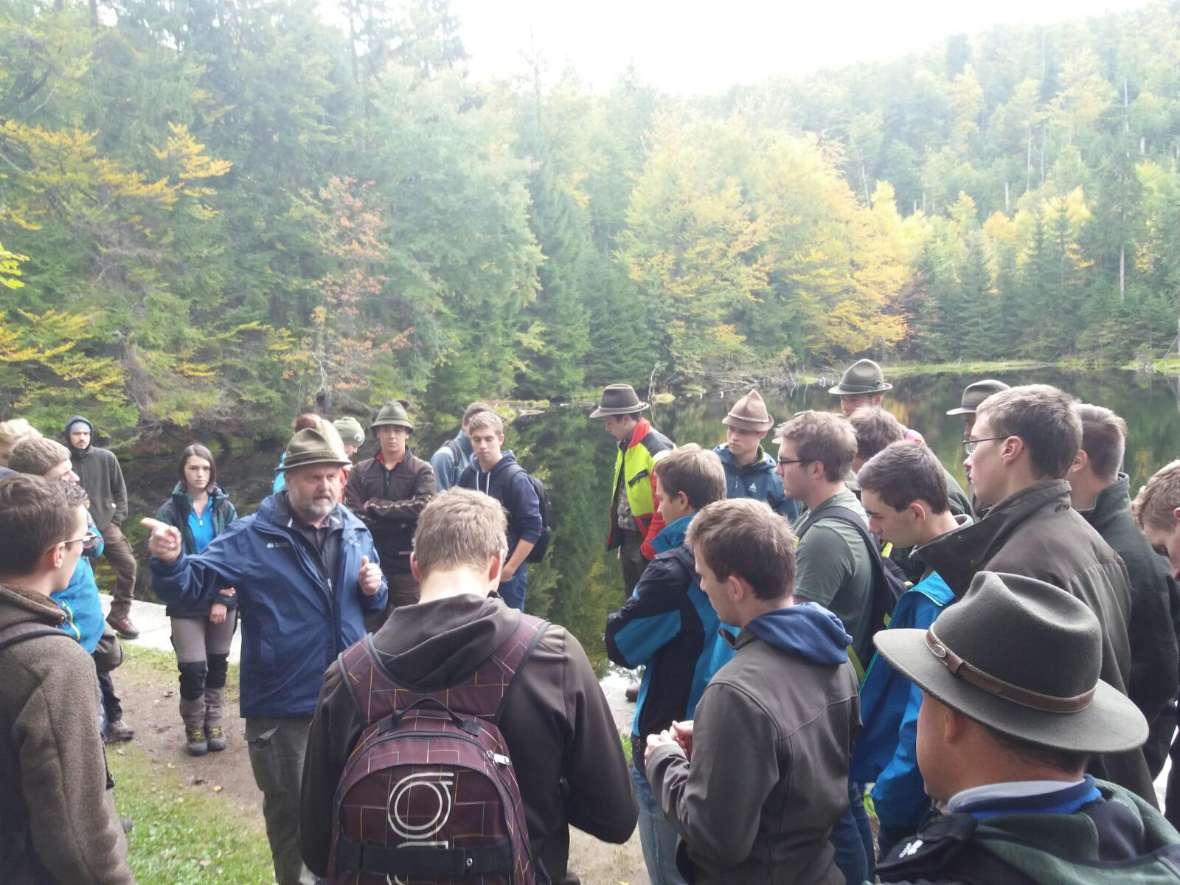 5a im Nationalpark Bayrischer Wald