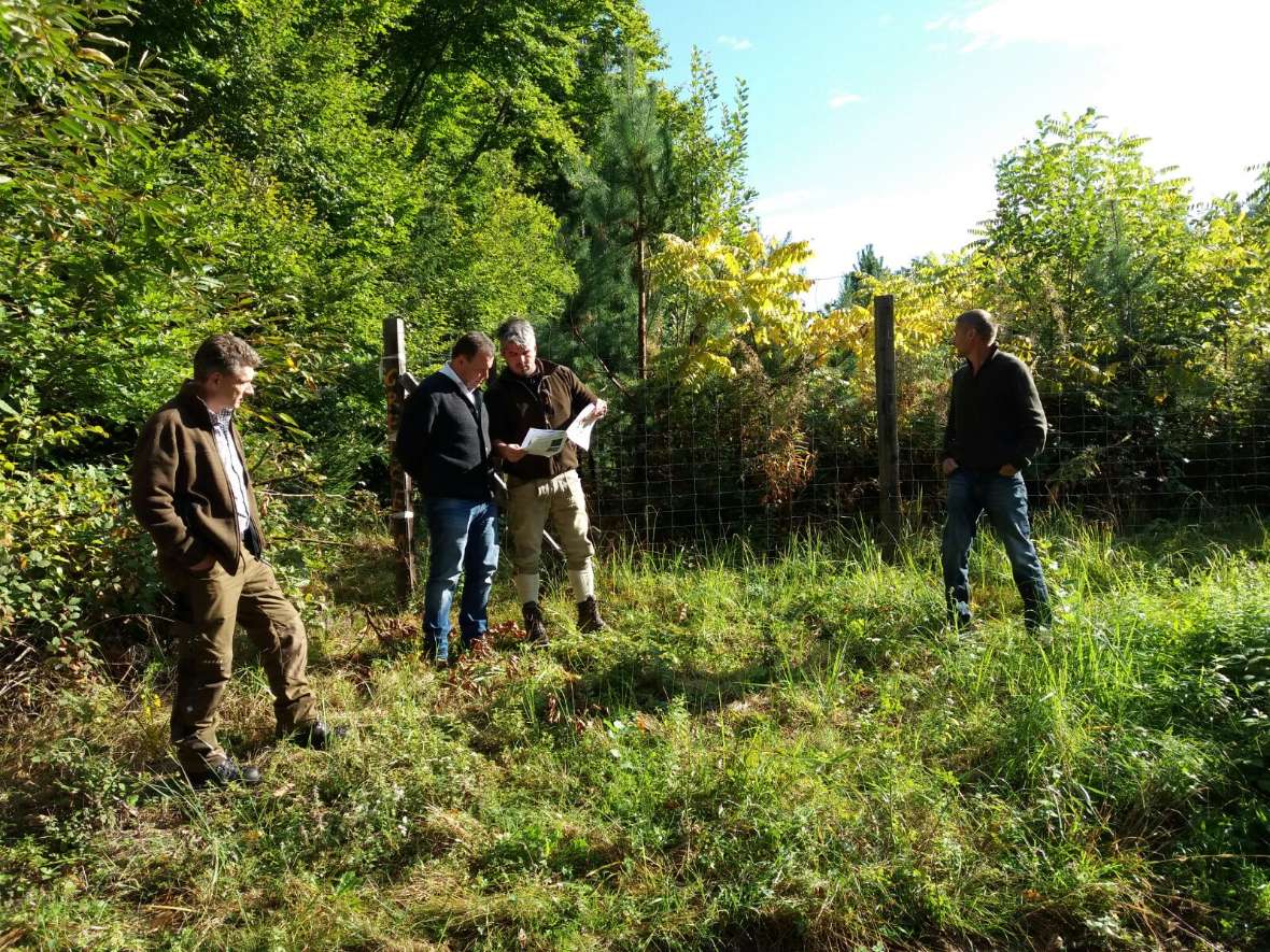 Vier Personen auf einer Grünfläche