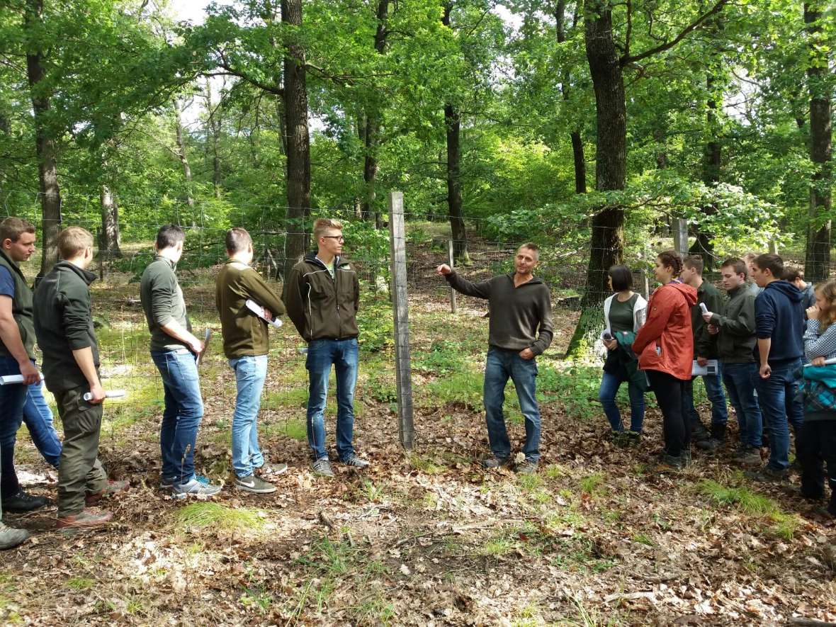 Die Wichtigkeit von Zäunen im Wald
