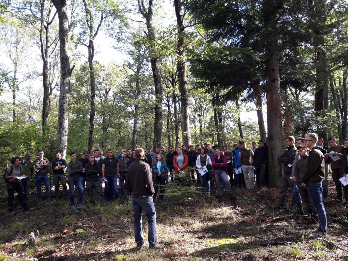 Alle Schülerinnen und Schüler der 5A und 5B im Wald