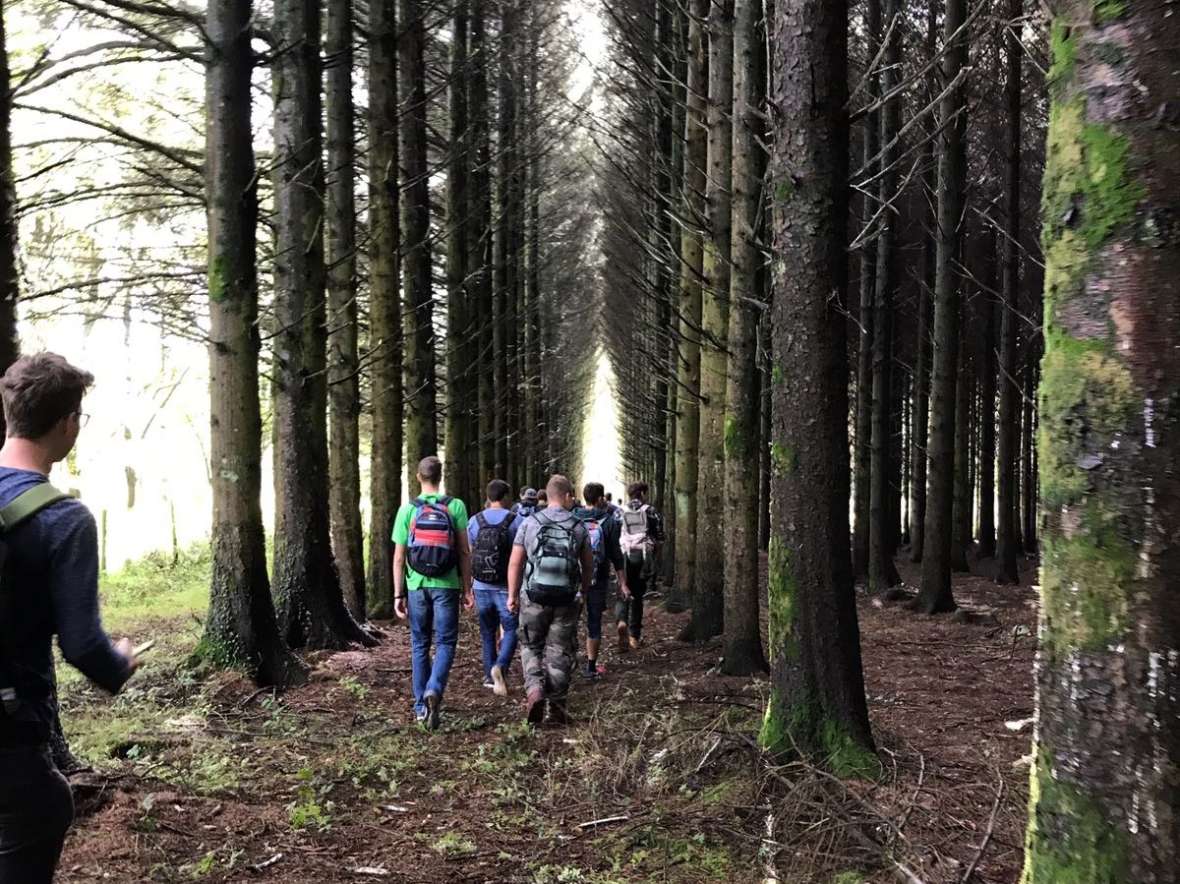 Schueler in einer Aufforstung