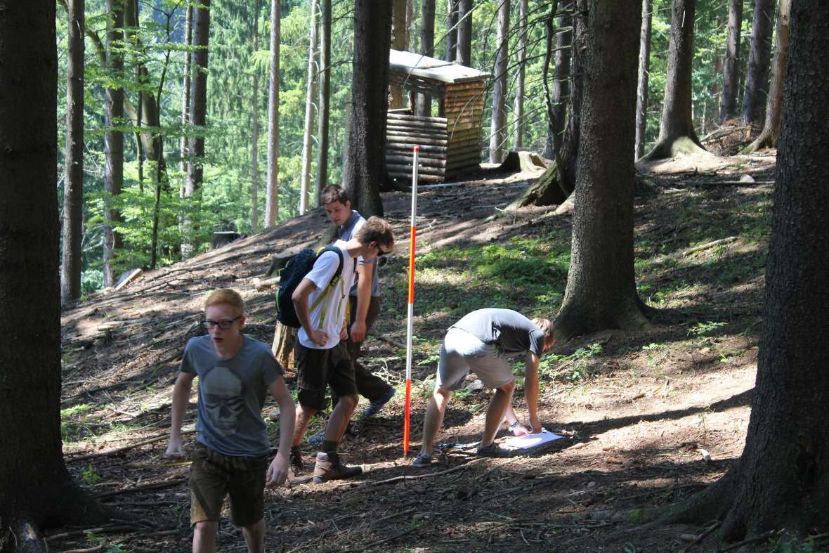 Bäumeauszeigen und Vermessen