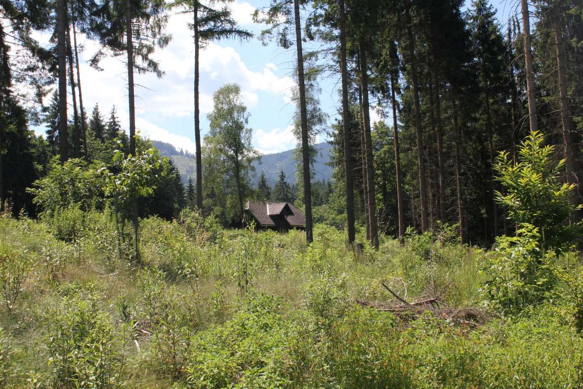 Blick auf die Waldschule