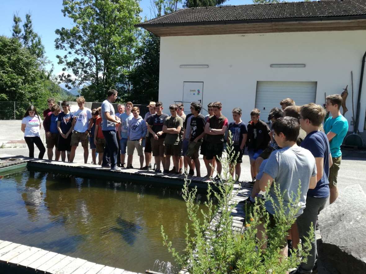 Ein Fischteich für Kaviarproduktion