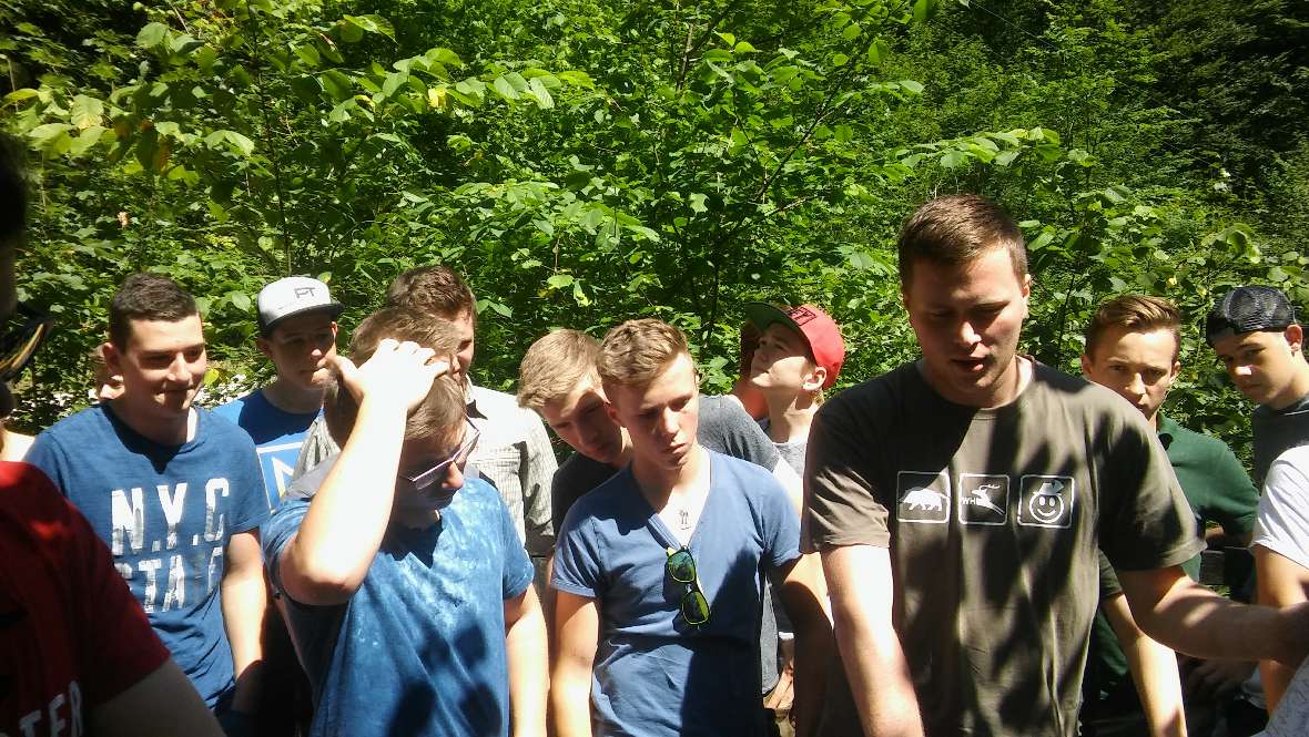 Forstmanagement im Nationalpark Kalkalpen
