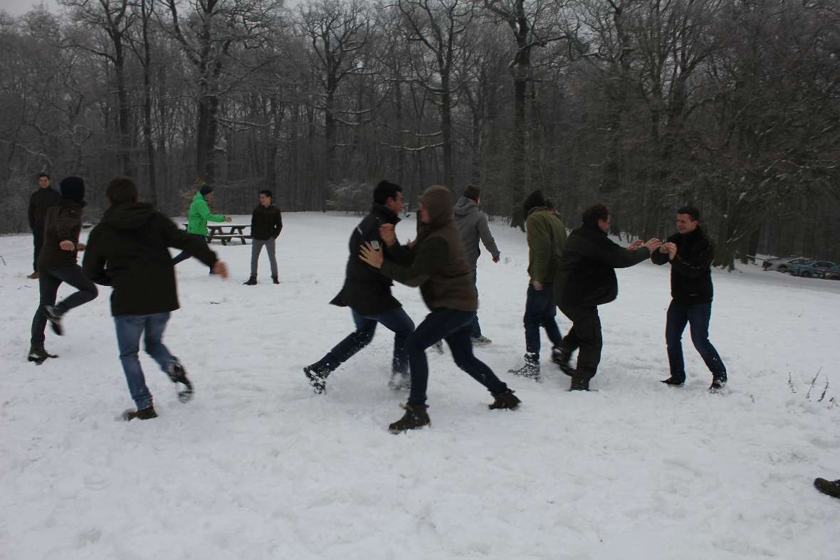 Spielerisch Bewegungsaktion Borkenkäfer