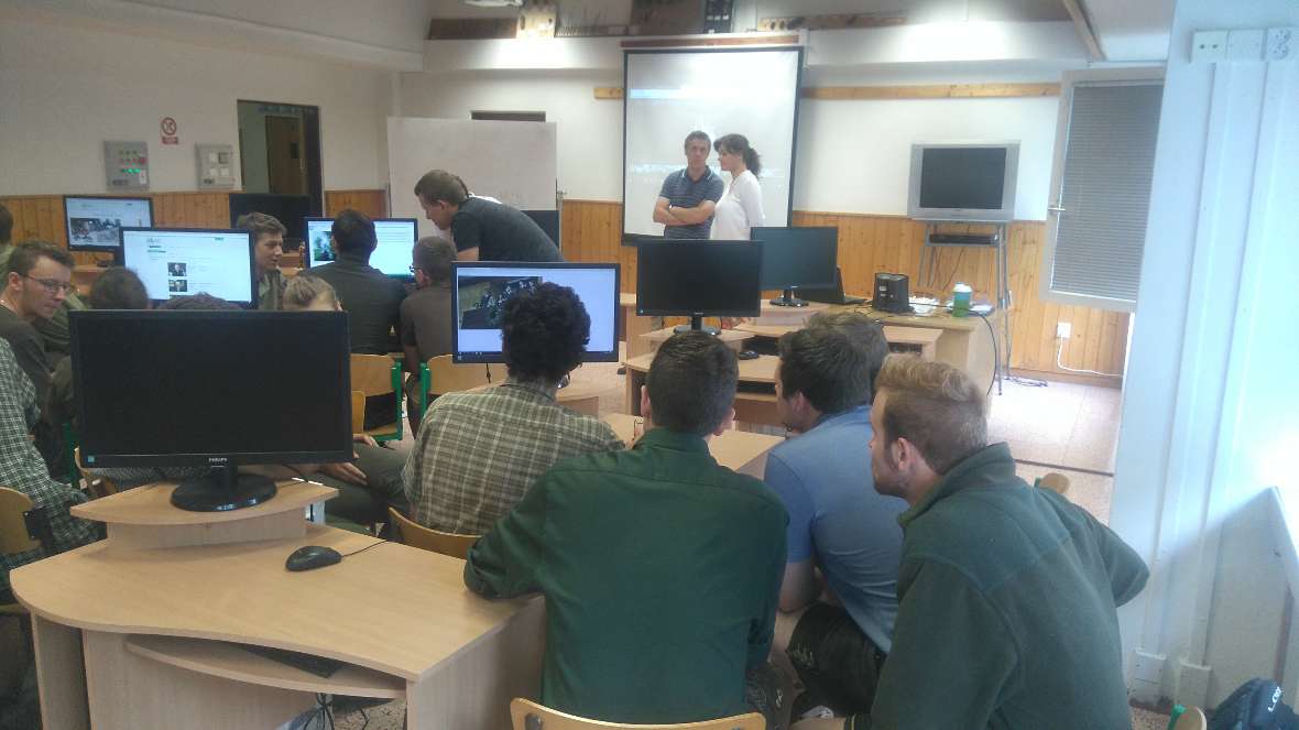 Arbeit in Kleingruppen vor PCs