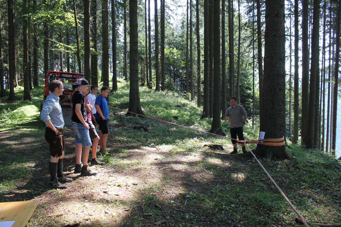 Lehrer erklärt die Umlenkrolle
