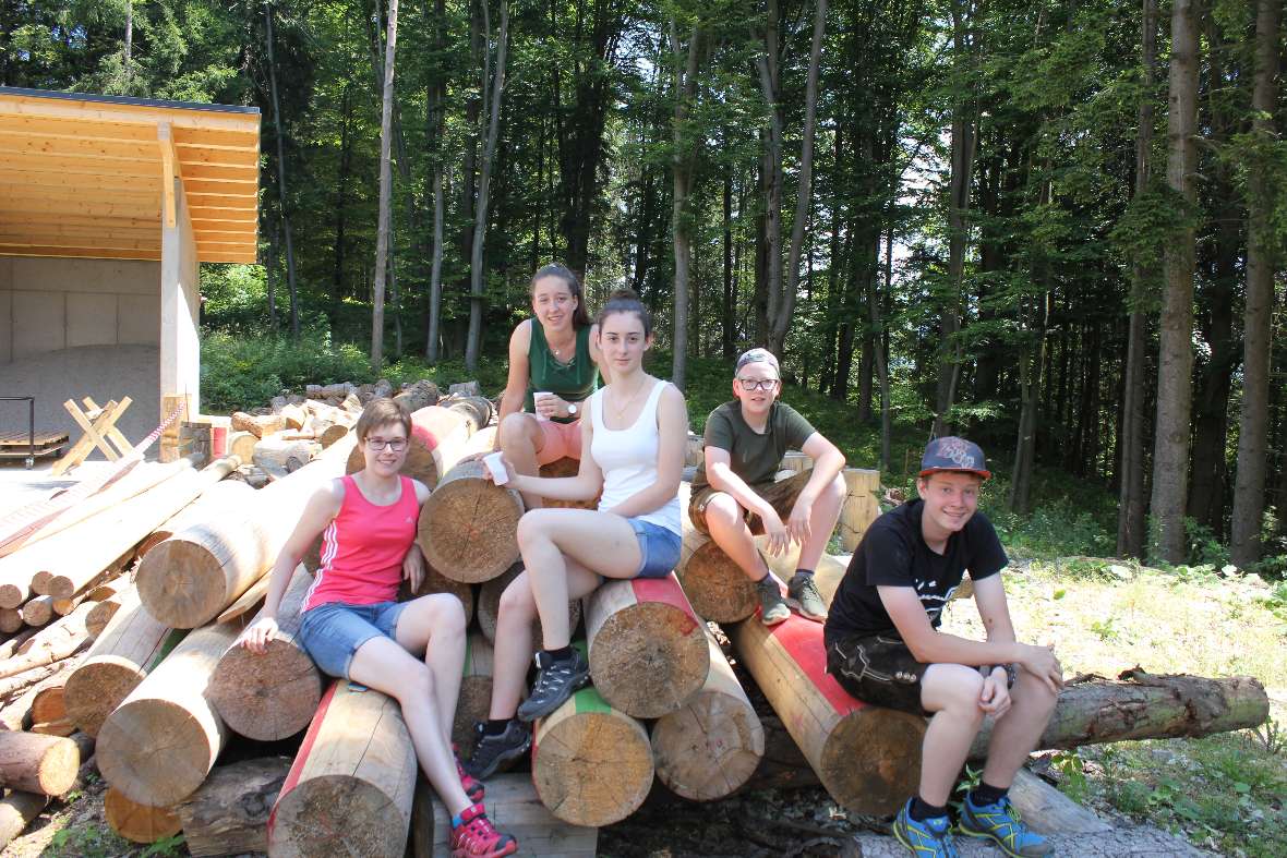Auf einem Holzstapel