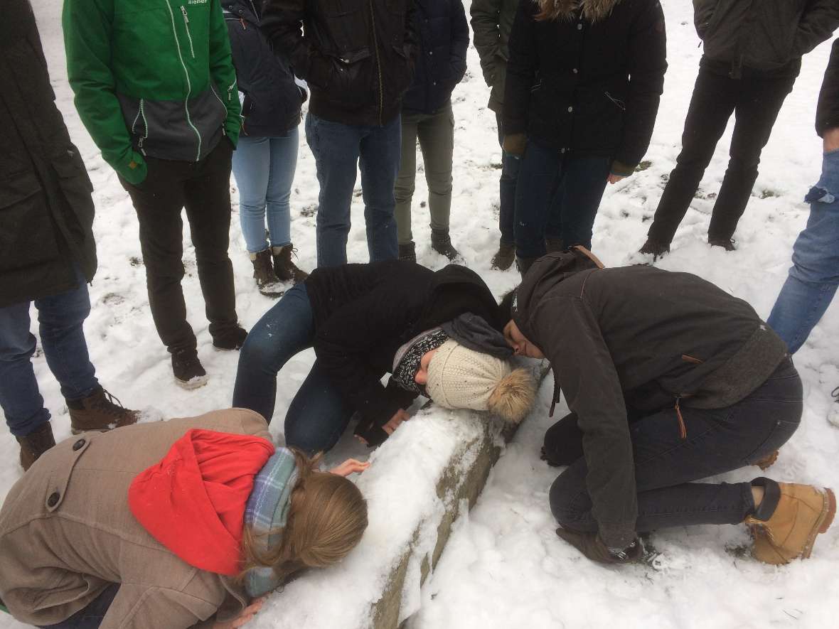 Hier hört man noch das Holz wachsen
