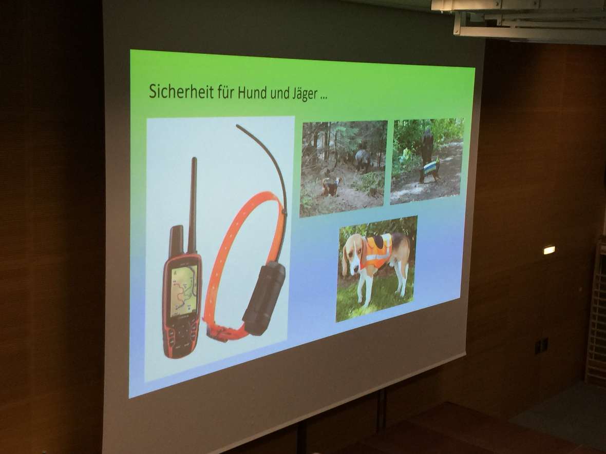 Ausrüstung für Hunde - Sehen Sie, wie dankbar der ist.