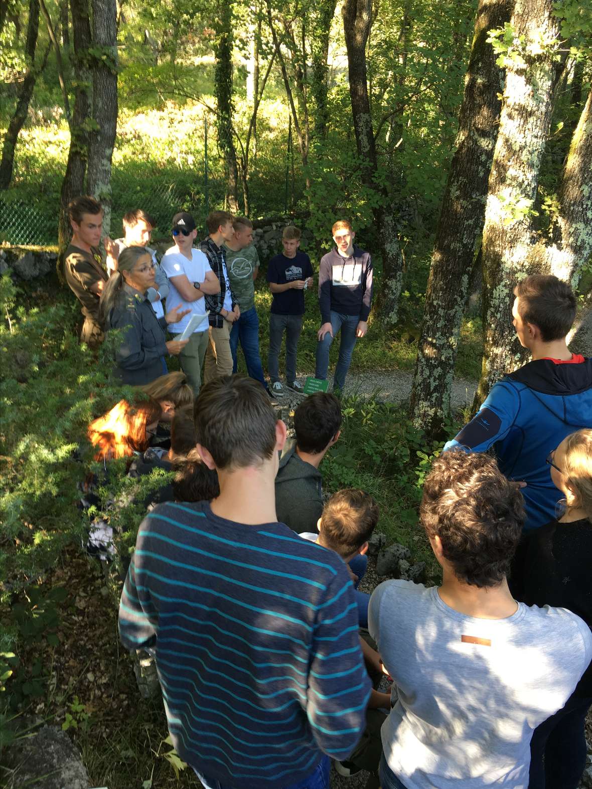 Die Wälder sind hier etwas anders bewirtschaftet