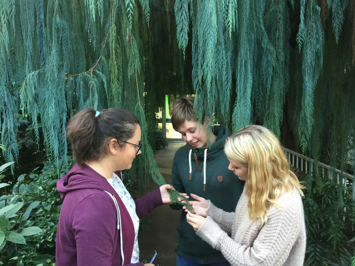 In einem Gewächshaus im Botanischen Garten Edinburgh